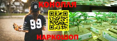 сатива Краснодар