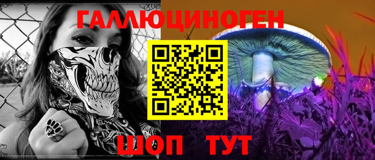 Галлюциногенные грибы мицелий Свободный