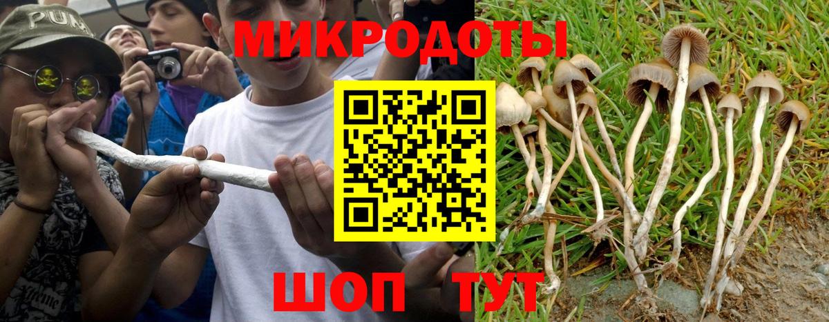 Свободный  Псилоцибиновые грибы ЛСД  Вход с VPN 